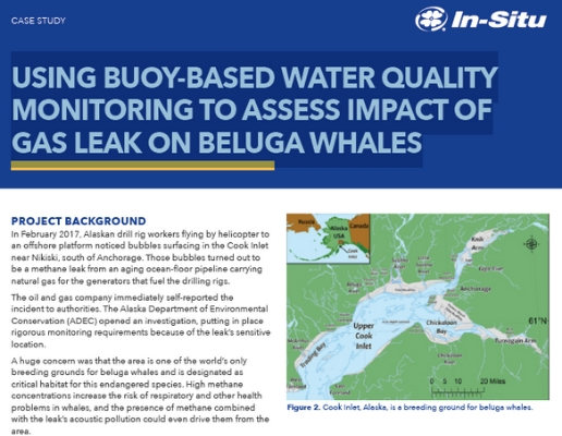 Using Buoy-Based Water Quality Monitoring to Assess Impact of Gas Leak on Beluga Whales